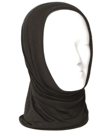 LANCER - Hoodie, Coyote m. Esbern Snare, tryk på ryg